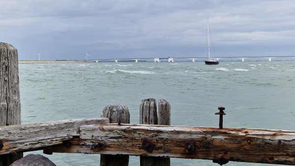 Nature, photo 22