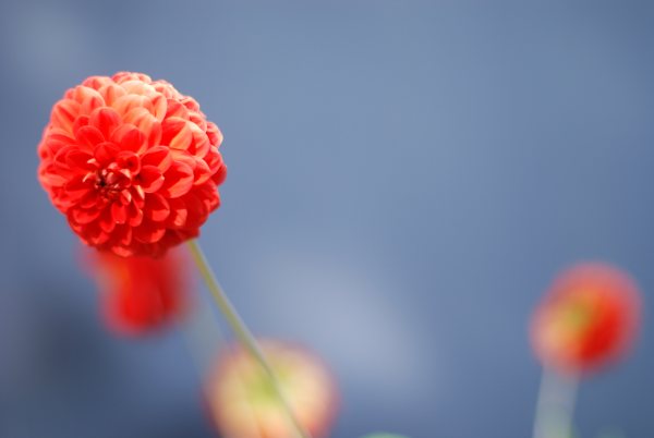 Nature, photo 16