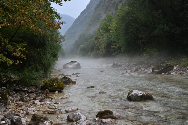 Nature, photo 3